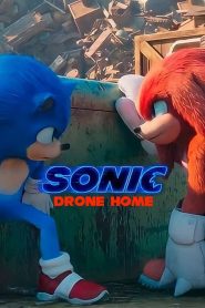 Sonic Drone Home 고화질(FHD) 다시보기