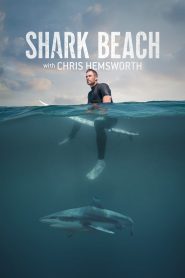 Shark Beach With Chris Hemsworth 고화질(FHD) 다시보기
